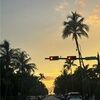 olives2025